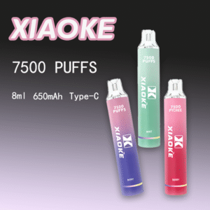 XiaoKe 梟客 7500 Puff 拋棄式電子煙 | 8mL 大容量 | 23 種口味
